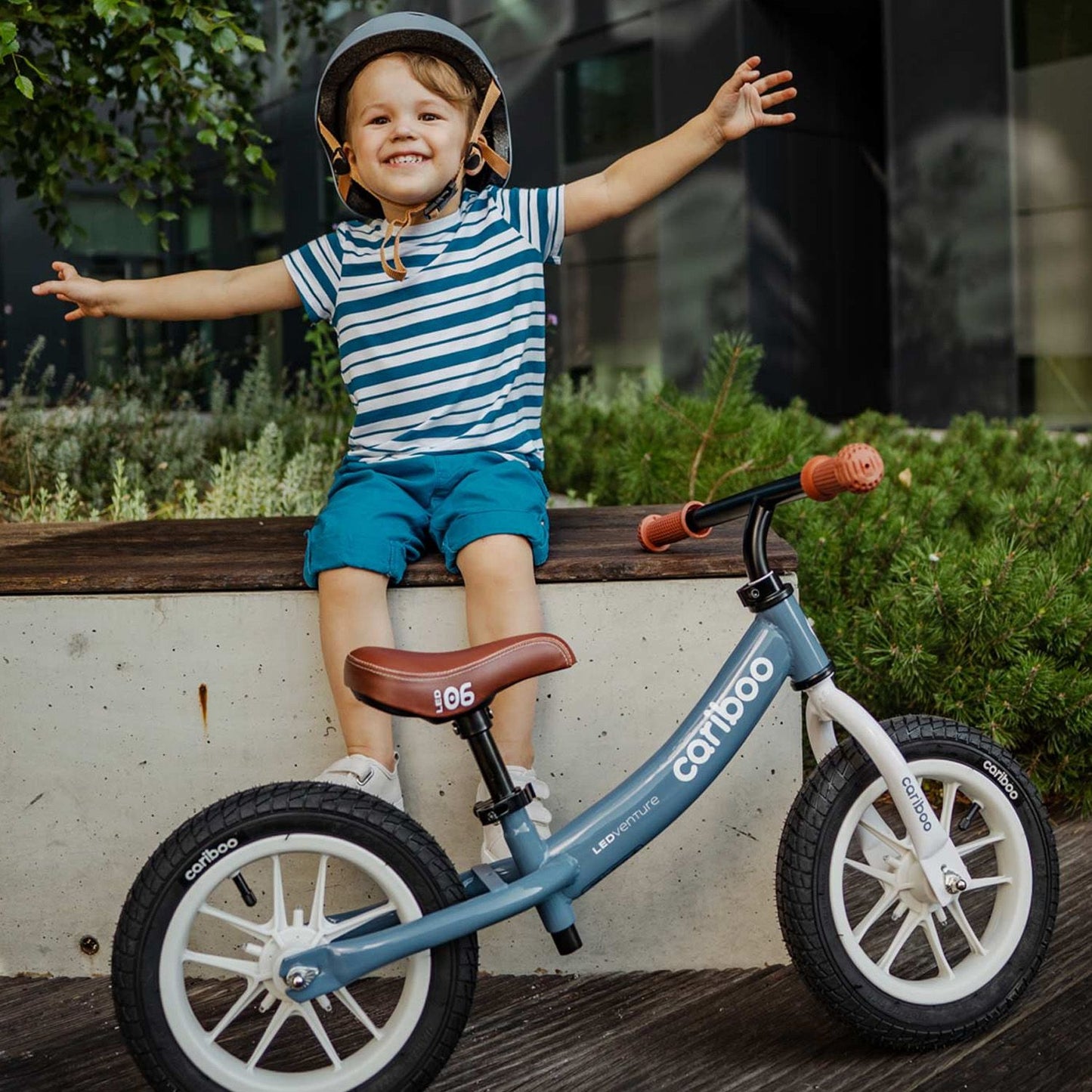 Cariboo Ledventure (Blue-Brown)