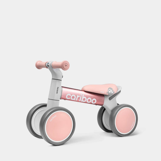 Cariboo Team (pink)